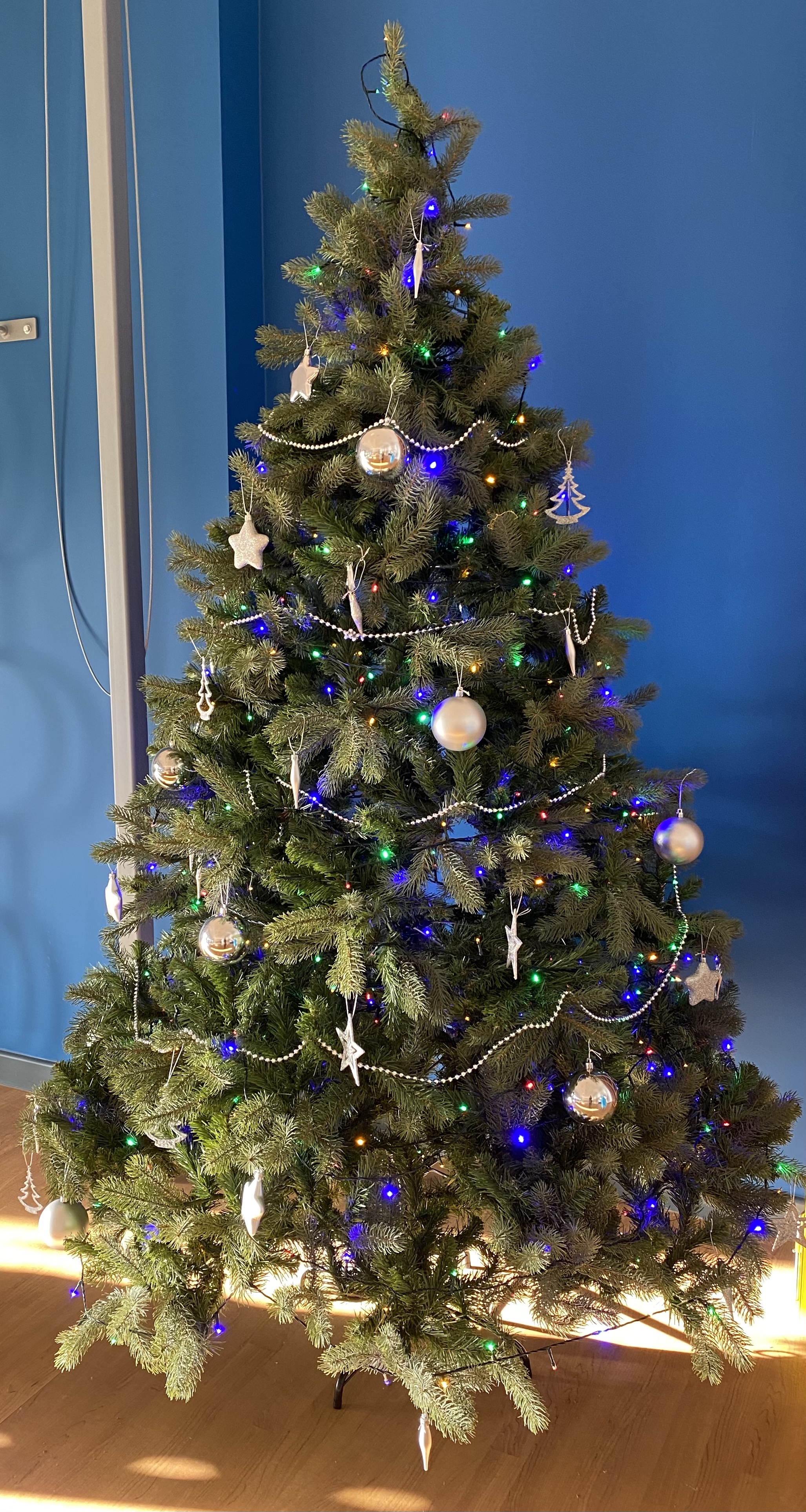 It’s beginning to look a lot like Christmas